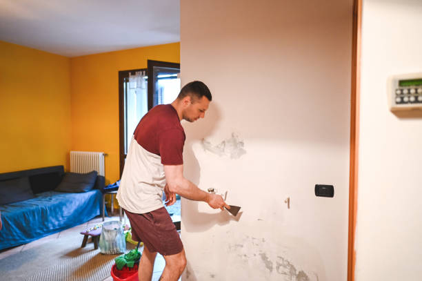 Best Mold Testing and Inspection Services in St Francis, MN